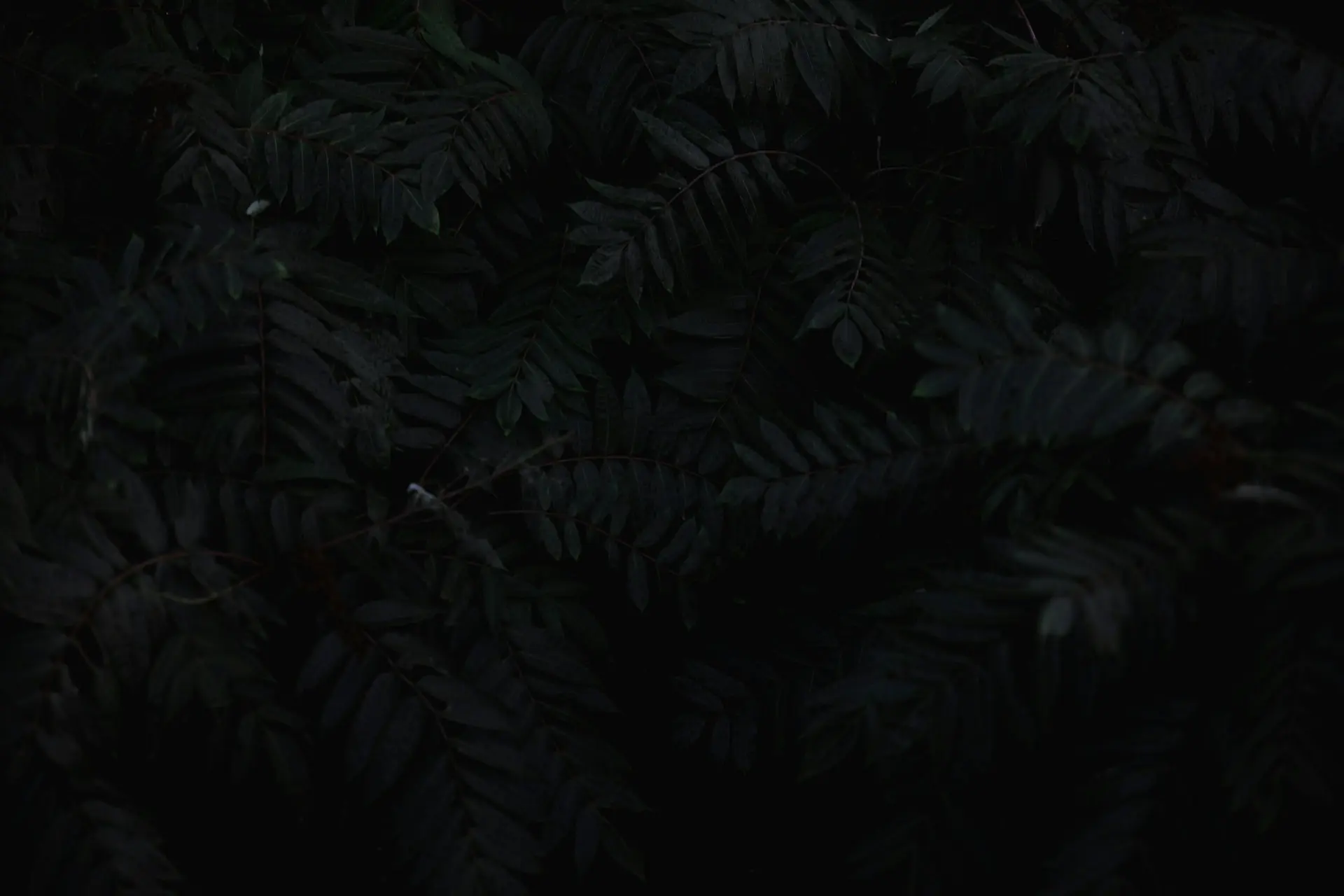 017