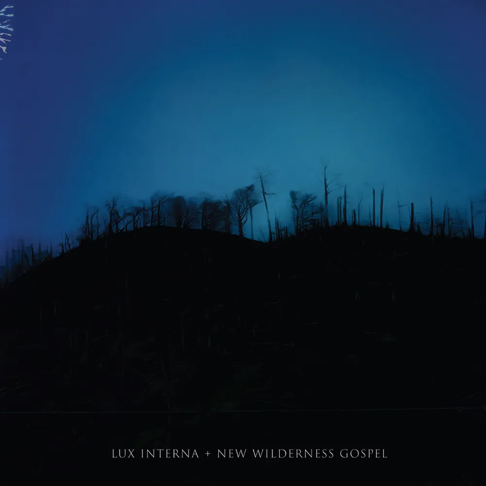 Lux Interna – New Wilderness Gospel: A Liturgical Performance in Word and Sound 2 lux-gospel2